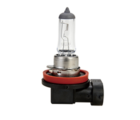 Halogen Lamp H8