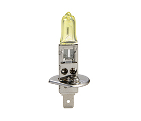 Halogen Lamp H1 Golden Yellow